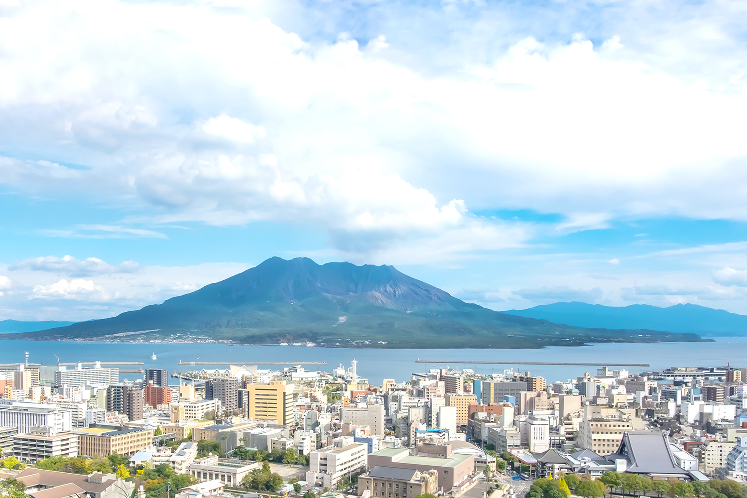 令和８年度 第１回連携推進委員会を開催しました